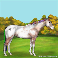 Horse Color:Painted Bay Ice Onyx Tobiano Snowcap