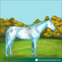 Horse Color:Gray Void Thunderstruck Red Onyx Ice Tobiano Appaloosa 