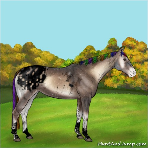 Horse Color:Void Painted Liver Red Onyx Ice Tobiano Appaloosa 