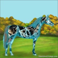 Horse Color:Void Thunderstruck Chocolate Palomino Ice Onyx Tobiano Near Leopard