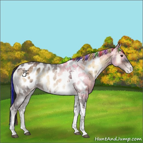 Horse Color:Painted Liver Red Onyx Ice Tobiano Appaloosa 