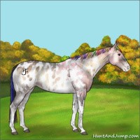 Horse Color:Painted Liver Red Onyx Ice Tobiano Appaloosa