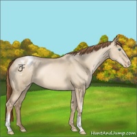 Horse Color:White Spotted Smoky Grullo Pearl Blanket Rabicano 