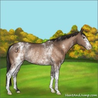 Horse Color:White Spotted Brown Dun Varnish Rabicano 