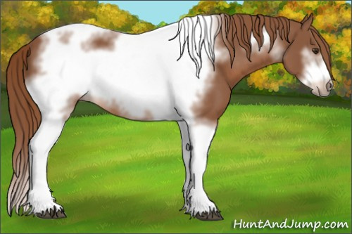 Horse Color:Chestnut Tobiano Frame 