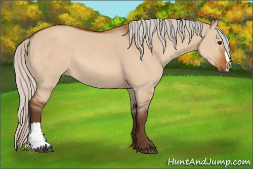 Horse Color:Silver Bay Dun 