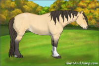 Horse Color:Buckskin Roan Dun Tobiano 