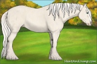 Horse Color:Cremello Splash  Brindle