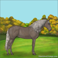 Horse Color:Silver Black 