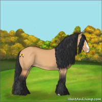 Horse Color:Bay Dun Splash