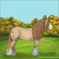 Horse Color:Red Dun Splash 