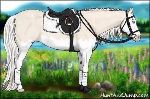 Horse Color:Cremello Splash Brindle