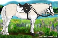 Horse Color:Cremello Splash Brindle