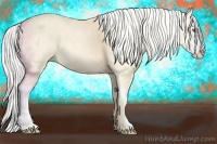 Horse Color:Cremello Splash  Brindle