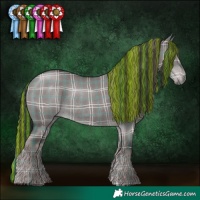 Horse Color:Platinum Painted Plaid Liver Red Dun Rabicano