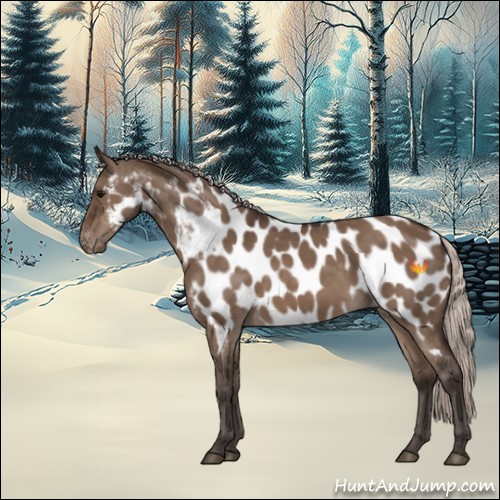 Horse Color:Silver Brown Dun Near Leopard