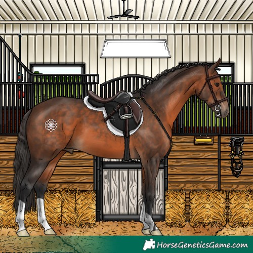 Horse Color:Brown 