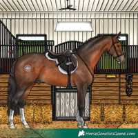Horse Color:Brown 