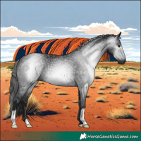Horse Color:Gray Black 