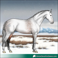 Horse Color:Gray Bay 