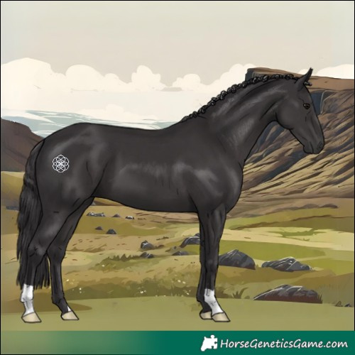 Horse Color:Smoky Black 