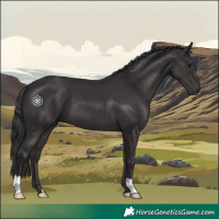 Horse Color:Smoky Black 