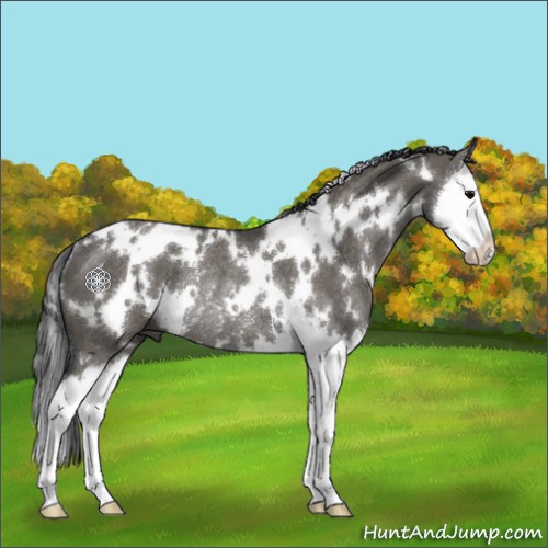 Horse Color:White Spotted Grullo Splash Rabicano 