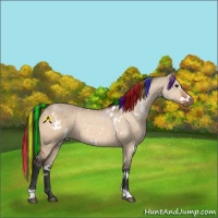 Horse Color:Painted White Spotted Bay Dun