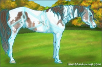 Horse Color:Thunderstruck Liver Chestnut Splash Tobiano 