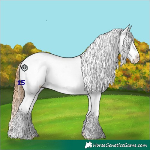 Horse Color:Chestnut Near Leopard