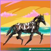 Horse Color:Bay Near Leopard 