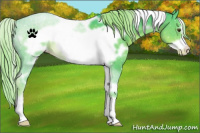 Horse Color:Watercolor White Spotted Liver Chestnut Frame Snowflake Varnish 
