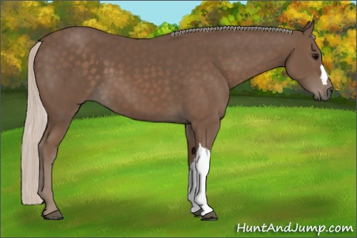 Horse Color:Silver Black 