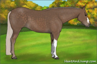 Horse Color:Silver Black 