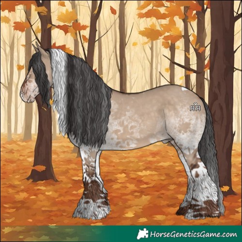 Horse Color:White Spotted Liver Red Dun Tobiano 