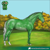 Horse Color:Watercolor Silver Brown Chinchilla 