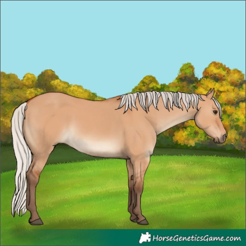 Horse Color:Silver Bay Dun 