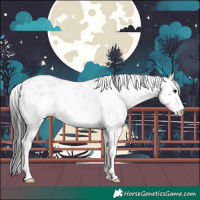 Horse Color:Grullo Sabino 