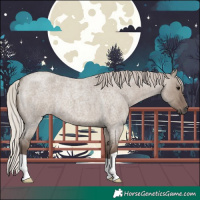 Horse Color:Silver Grullo Roan 