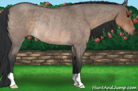 Horse Color:Brown Roan Dun Rabicano