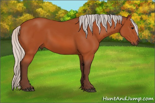 Horse Color:Silver Bay 
