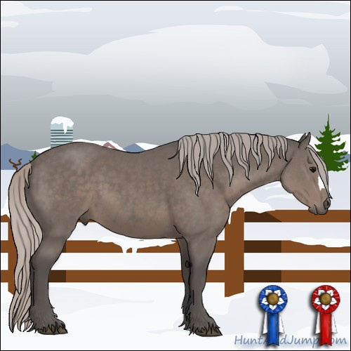 Horse Color:Silver Black 