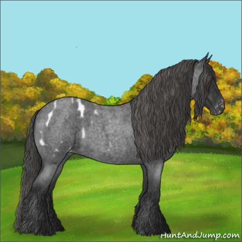 Horse Color:Blue Roan Blanket 