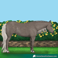 Horse Color:Silver Black 