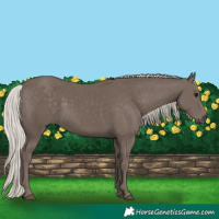 Horse Color:Silver Black 