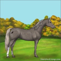Horse Color:Silver Black 