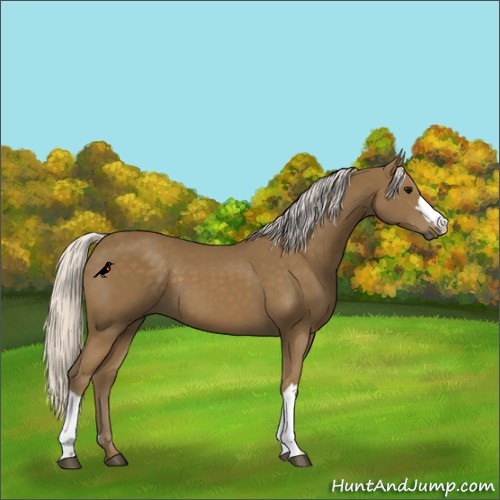 Horse Color:Silver Smoky Black 
