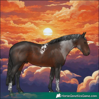 Horse Color:Liver Chestnut Tobiano