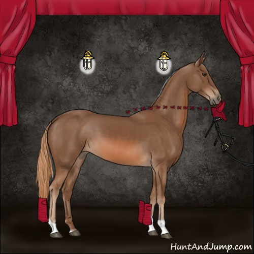 Horse Color:Chestnut Tobiano