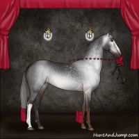 Horse Color:Gray Liver Chestnut 